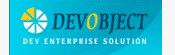 Dev Enterprise Solution